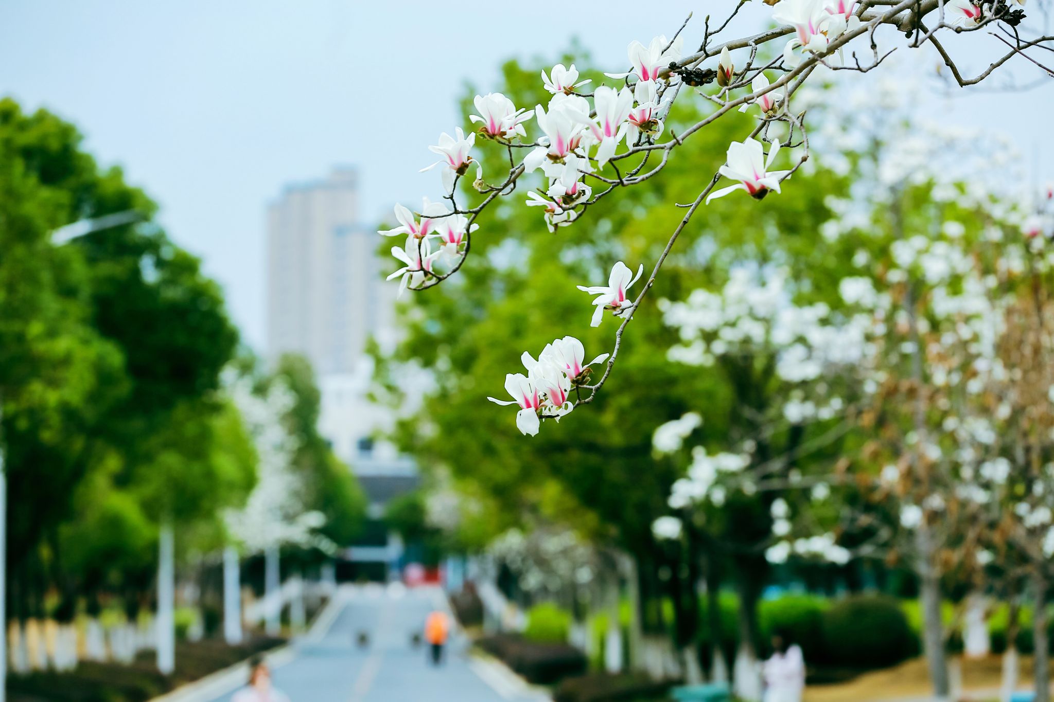 易付宝app免费下载官方网站版权所有